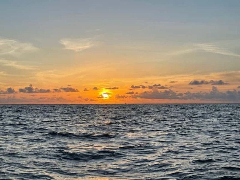 Tampa Bay: Sunset Cruise with Celebrity Homes and Wildlife - A Detailed Look at Tampa Bay’s Sunset Cruise