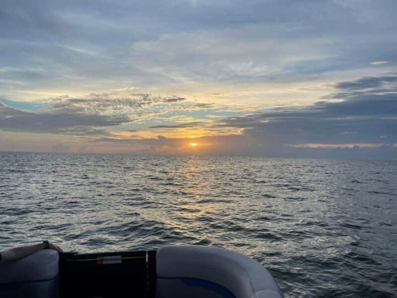 Tampa Bay: Sunset Cruise with Celebrity Homes and Wildlife - Who Is This Tour Best For?
