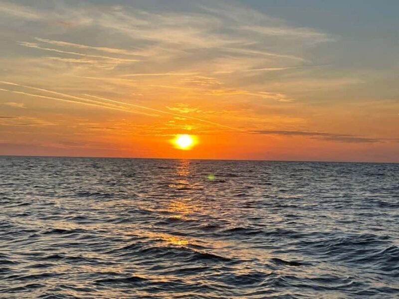 Tampa Bay: Sunset Cruise with Celebrity Homes and Wildlife - FAQ
