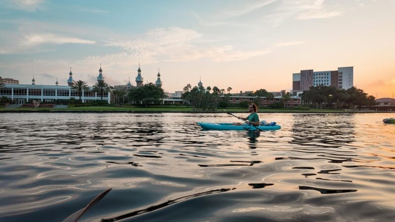 Tampa: Clear Glowing Kayak Nighttime Tour - The Sum Up