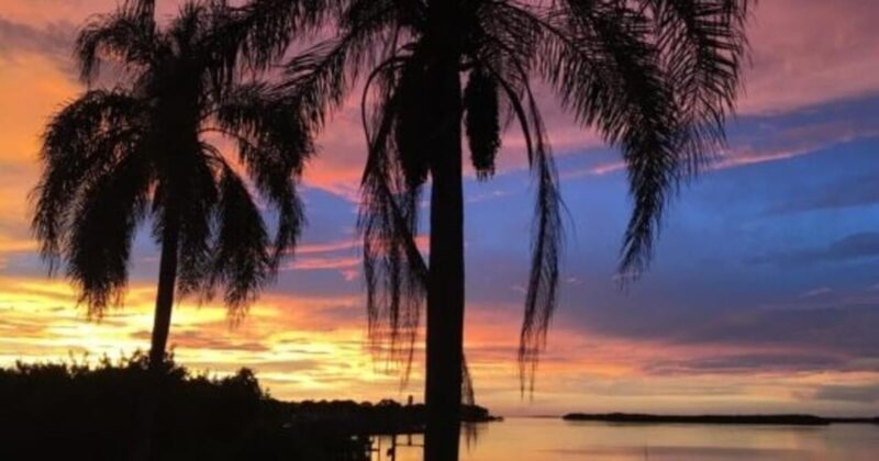 Tampa: Hillsborough River Evening Boat Tour Up to 13 people - Key Points