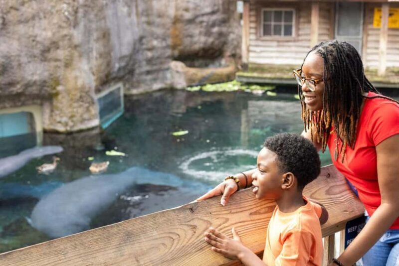 Tampa: ZooTampa at Lowry Park Ticket with After Hours Option - Key Points