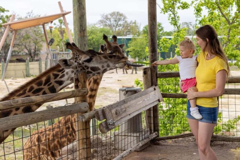 Tampa: ZooTampa at Lowry Park Ticket with After Hours Option - A Detailed Look at the ZooTampa Experience