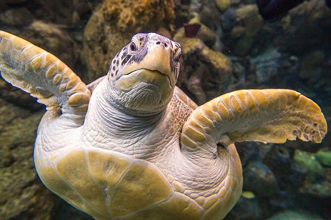 Tampa's ZooQuarium Admission - Key Points