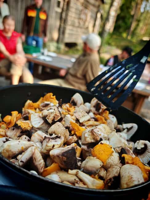 Tampere: Mushroom Picking and Tasting Tour with Meal - Key Points