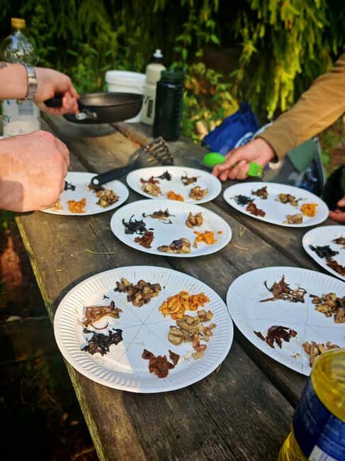 Tampere: Mushroom Picking and Tasting Tour with Meal - Who Will Love This Tour?