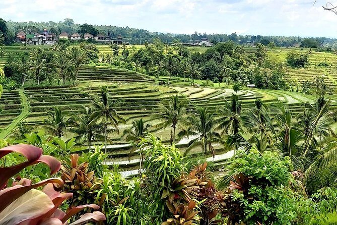 Tanah Lot and Jatiluwih Unesco Rice Terrace Private Tour - A Closer Look at the Bali Experience