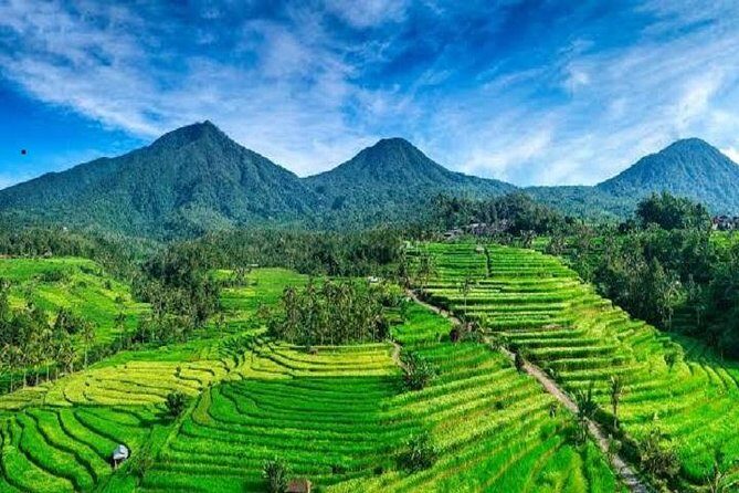 Tanah Lot - Jatiluwih (UNESCO) - Beratan lake -Hidden hill (Wanagiri)-FREE WI-FI - FAQ