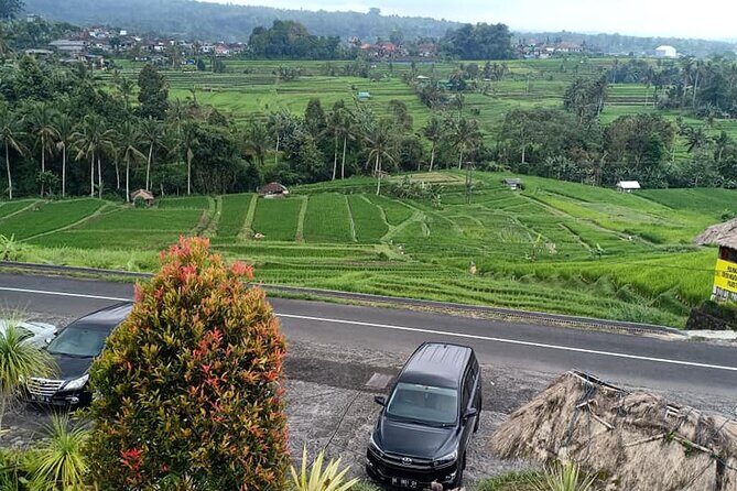 Tanah Lot Tour & North Bali Tour : All-Inclusive Best Experience - Who Should Consider This Tour?