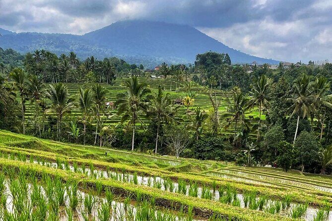 Tanah Lot - Ulun Danu Beratan Temple - Scenic Countryside Tour - The Sum Up