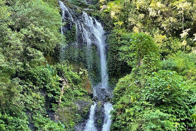 Tanah Lot - Ulun Danu Beratan Temple - Scenic Countryside Tour - FAQ