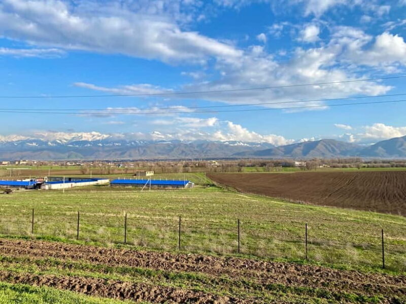 Tanbaly Gorge: Ancient Petroglyphs UNESCO Site Day Tour - FAQ