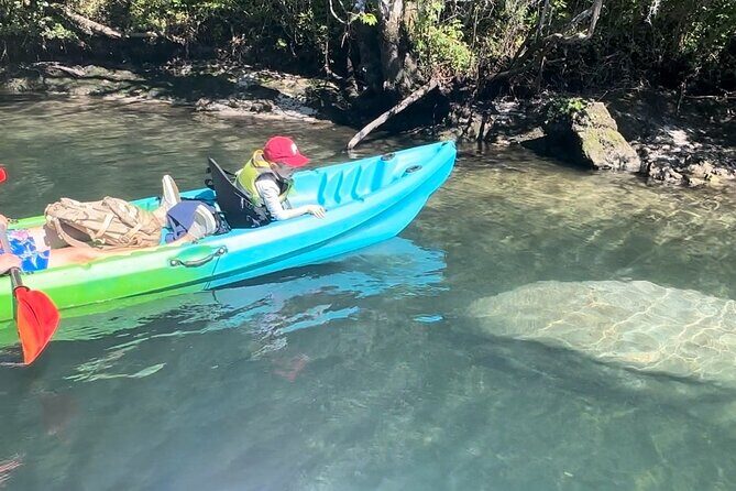 Tandem Kayak Rental for Kings Bay Three Sisters Springs - Exploring Kings Bay and Three Sisters Springs: A Natural Sanctuary
