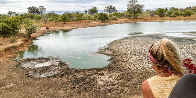 Tangalle/Hiriketiya: Udawalawa Safari & Elephant Transit Hom - Authentic Wildlife Encounters and Value