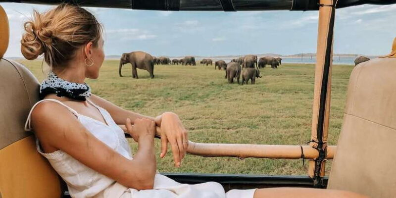 Tangalle/Hiriketiya: Udawalawa Safari & Elephant Transit Hom - Key Points