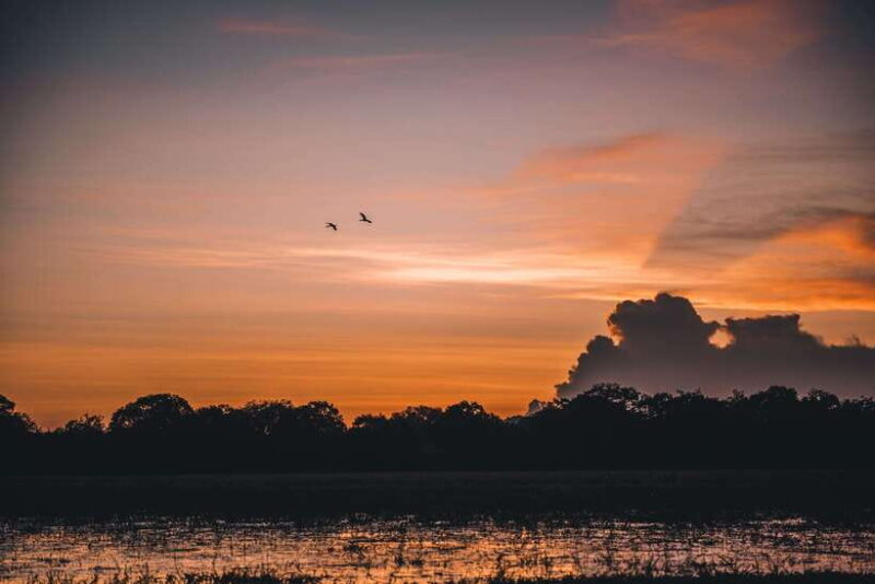 Tangalle/Hiriketiya: Yala National Park Safari in a 4x4 - Key Points