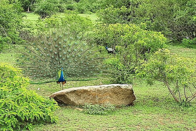 Tangalle to Katunayaka Air Port - Detailed Review: What You Can Expect from This Transfer Service