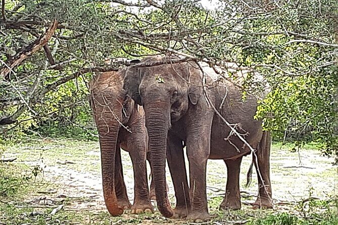 Tangalle to Katunayaka Air Port - Practical Considerations