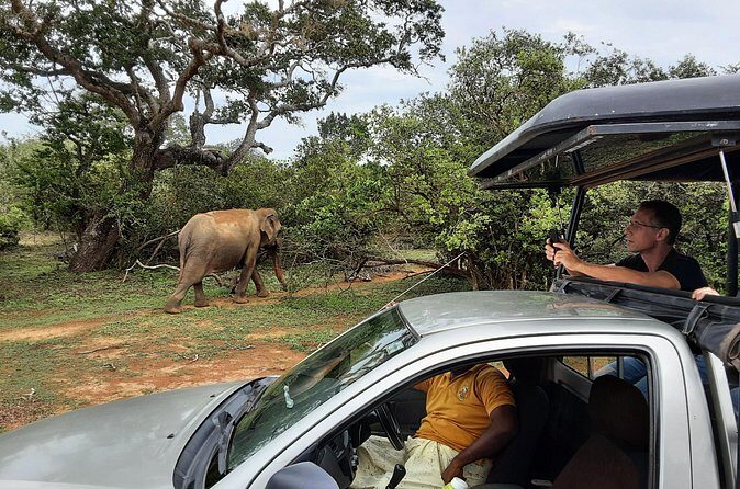 Tangalle to Katunayaka Air Port - Who Should Consider This Service?