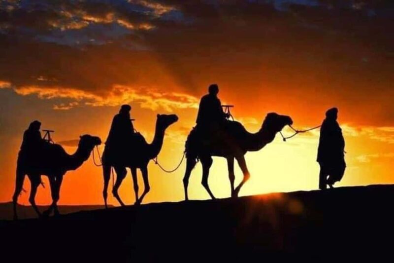 Tangier: Day Trip from Tarifa To Tanger { camel ride - The Value of This Experience