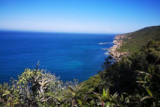 Tangier Guided Tour from Tarifa - FAQ