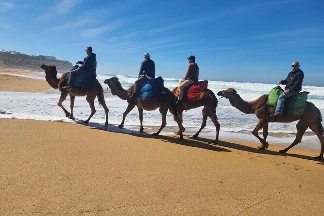 Tangier Luxury Private Day Tour From Tarifa including Camel ride - Key Points