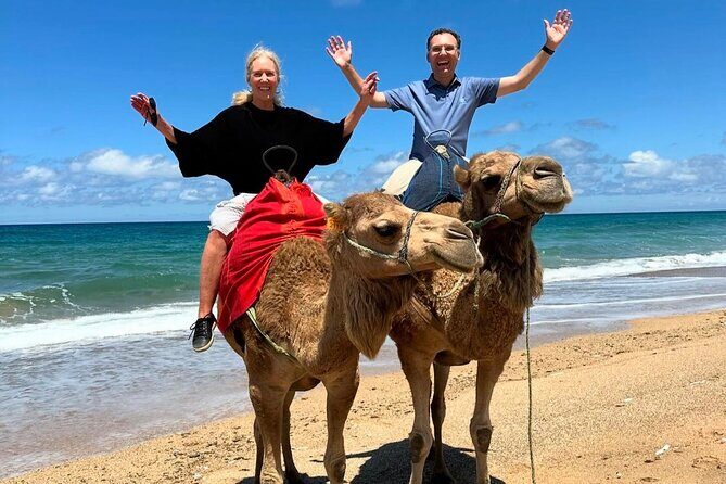 Tangier Luxury Private Day Tour From Tarifa including Camel ride - The Sum Up: A Day Well Spent in Tangier