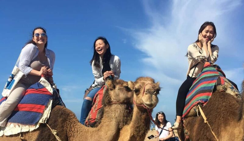 Tangier Private Half-Day Tour + Camel Ride + Add-on: Lunch - Key Points