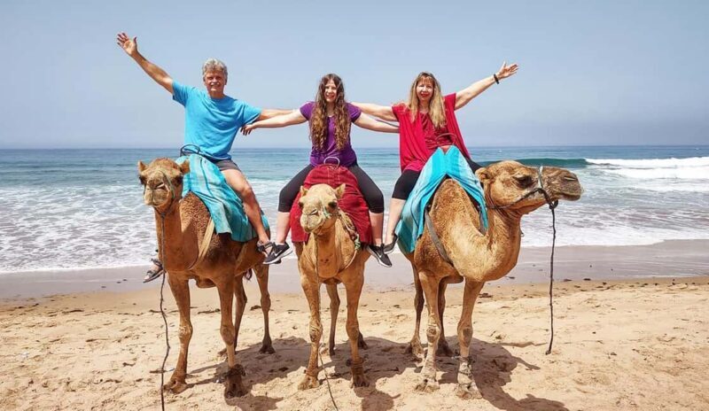 Tangier Private Half-Day Tour + Camel Ride + Add-on: Lunch - Authentic Experiences & Travelers’ Feedback