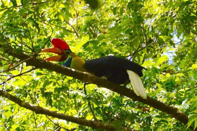 Tangkoko Bitung Manado Nature Tourism Park includes lunch. - Frequently Asked Questions