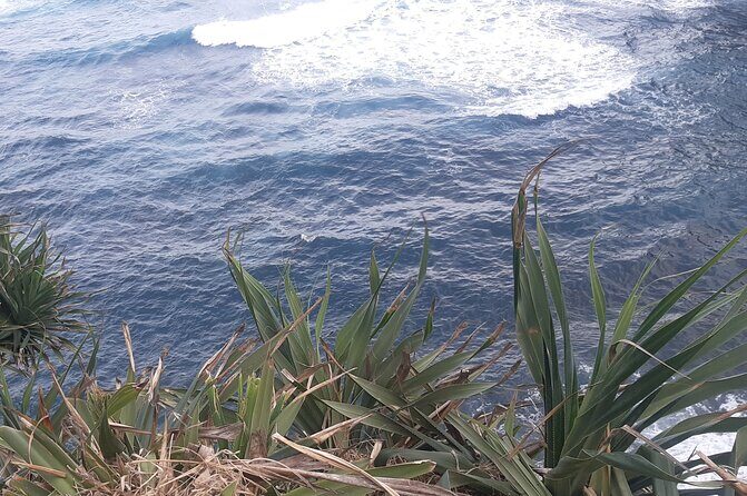 Tanna Island: Full Day Tour Including Mt Yasur Volcano and the Hotspring - FAQs