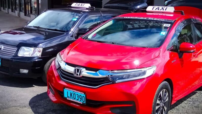 Tanoa Waterfront Hotel to Natadola Beach Round Trip - Key Points