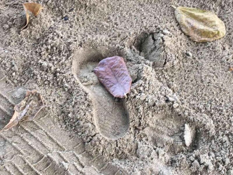 Tanoa Waterfront Hotel to Natadola Beach Round Trip - A Detailed Look at the Natadola Beach Day Trip