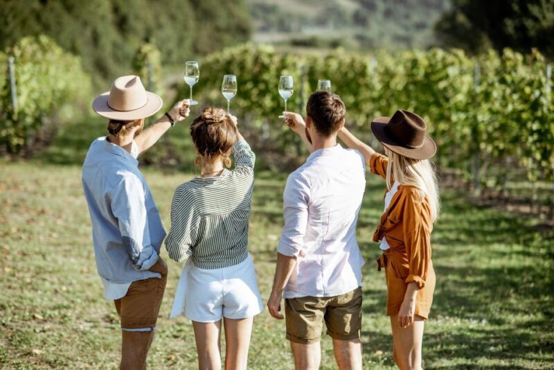 Taormina: Guided Etna Wine Tasting Half-Day Tour - The Sum Up