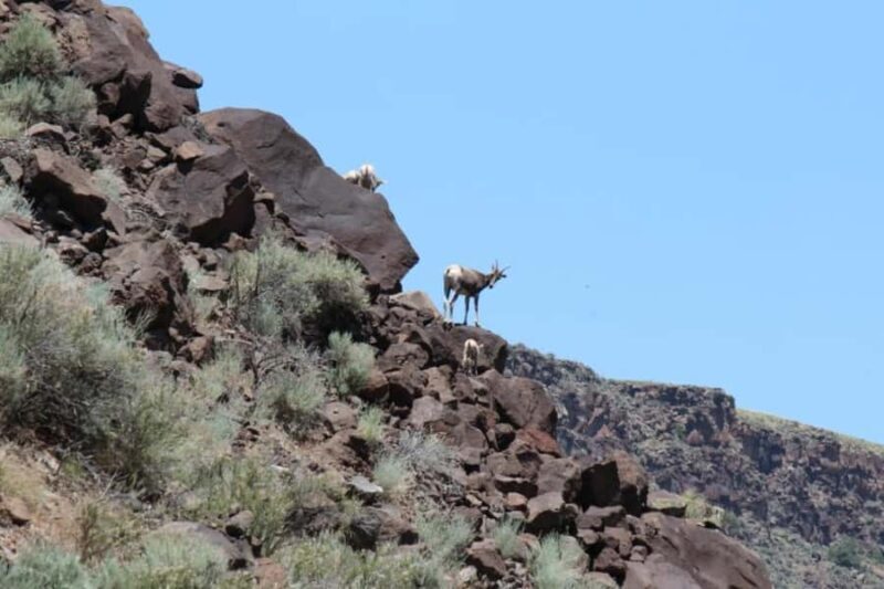 Taos Santa Fe ~ Kokopelli Taos Box Full Day Rafting - The Experience in Detail: What to Expect from Start to Finish