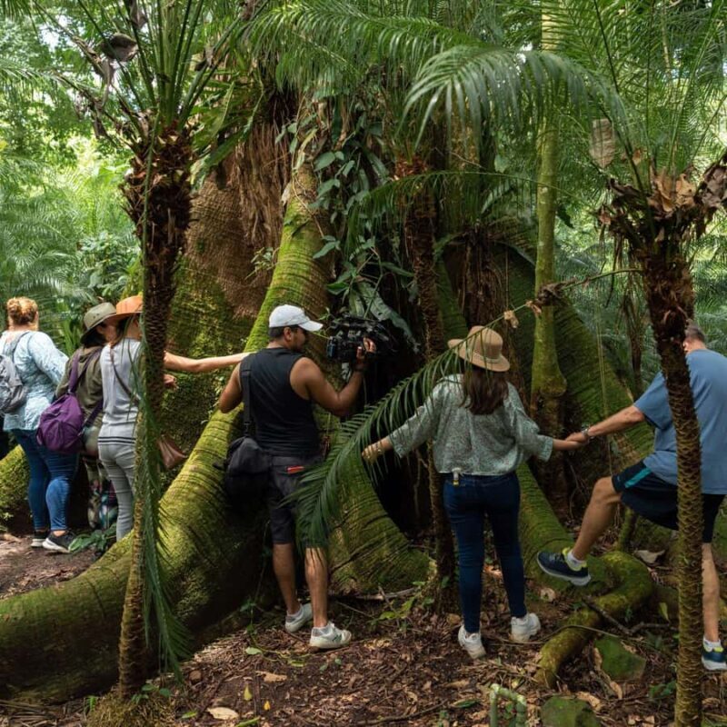 Tapachula: Argovia Coffee, Flowers, and Legacy Tour - How Does It All Add Up?