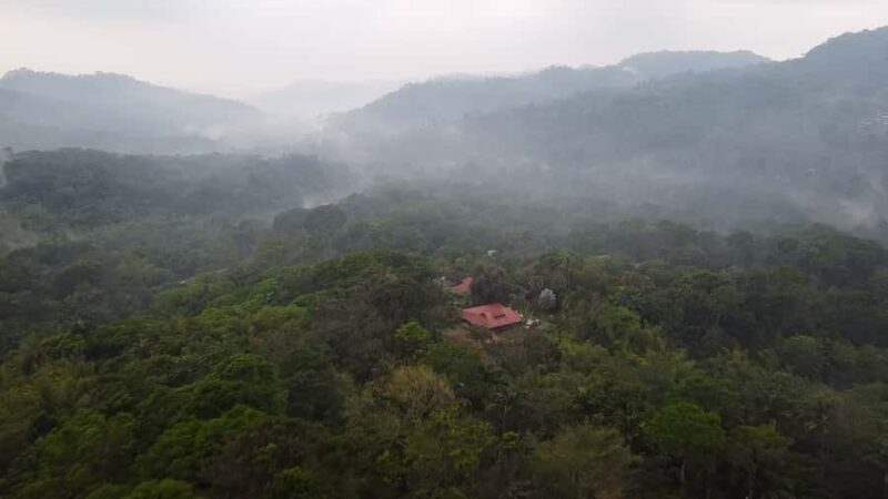 Tapachula: The Chiapas Coffee Route - Tapachula: The Chiapas Coffee Route