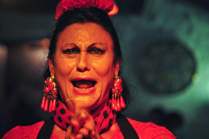 Tapas, Wine and Flamenco Private Tour - Final Thoughts