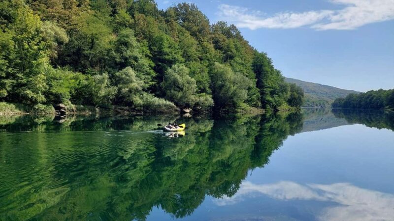 Tara National Park: Drina River Kayak or SUP Tour with Guide - The Route and Stops