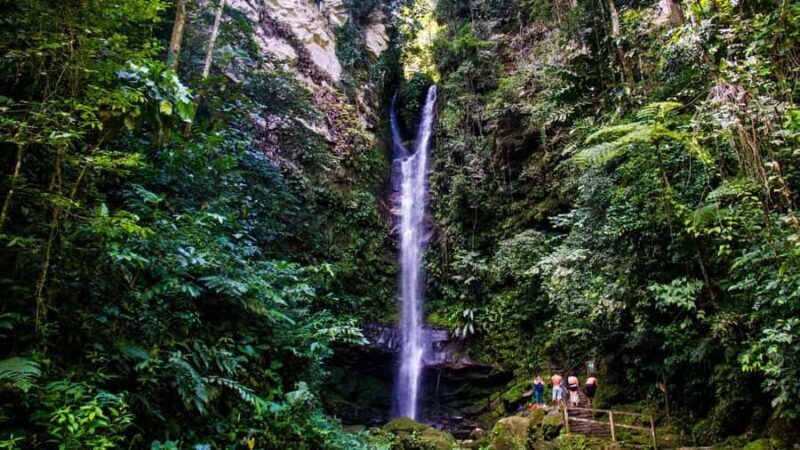Tarapoto: Ahuashiyacu Waterfall Half-Day Tour - A Genuine Look at the Ahuashiyacu Waterfall Half-Day Tour