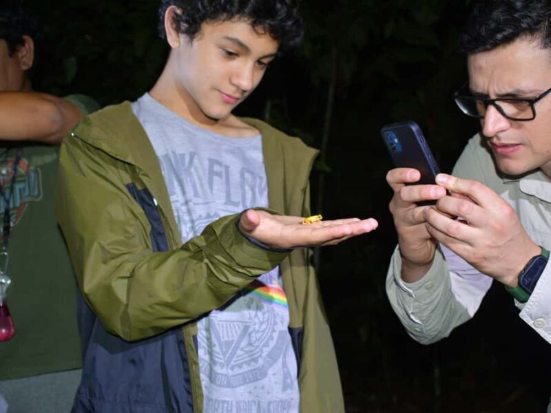 Tarapoto: Night Hike in the Amazon Rainforest - A Deep Dive into the Night Hike Experience