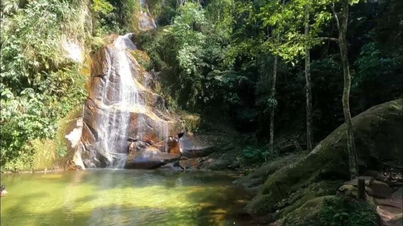 Tarapoto: Pucayaquillo Waterfall and Pumarinri Lodge Tour - What You’ll Love About This Tour