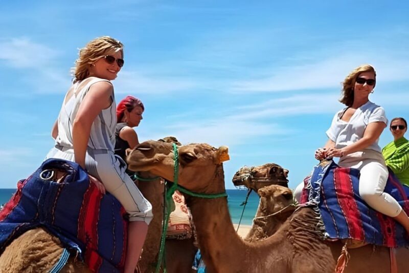Tarifa/Algeciras: Tangier Private Day Tour with Ferry Ticket - Who Should Consider This Tour?