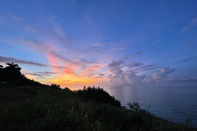 Tarot and Tea a Private Tropical Timeout in Montego Bay - A Personal Touch in Montego Bay: Tarot and Tea a Private Tropical Timeout