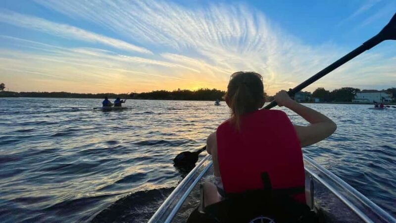 Tarpon Springs: Clear Kayak Eco-Tour with Manatee Viewing - Who Should Consider This Tour?