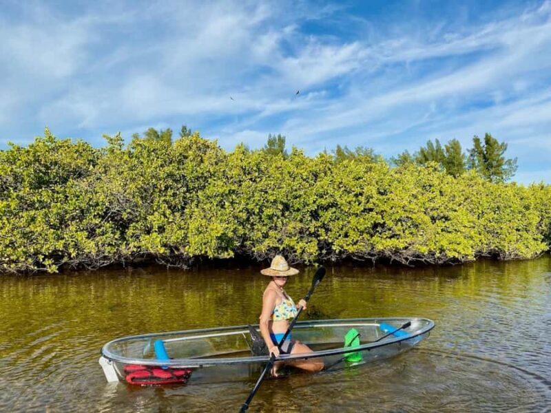 Tarpon Springs: Clear Kayak Eco-Tour with Manatee Viewing - The Sum Up