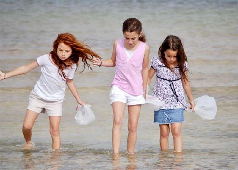 Tarpon Springs: Evening Dolphin Cruise - Exploring the Tarpon Springs Evening Dolphin Cruise: A Detailed Review