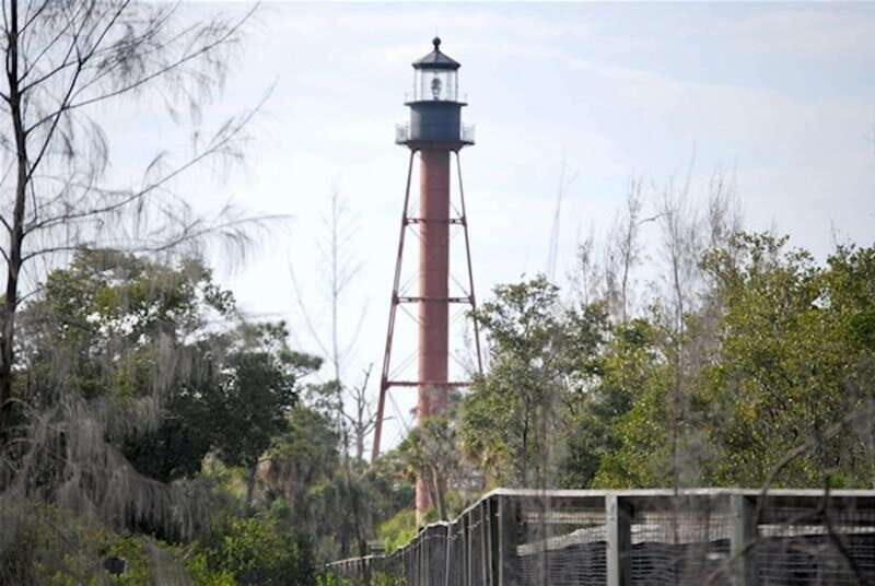 Tarpon Springs: Evening Dolphin Cruise - Real Traveler Perspectives