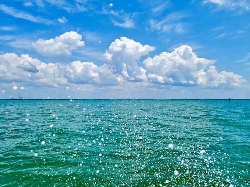 Tarpon Springs: Evening Dolphin Cruise - Why This Tour Is Perfect for You