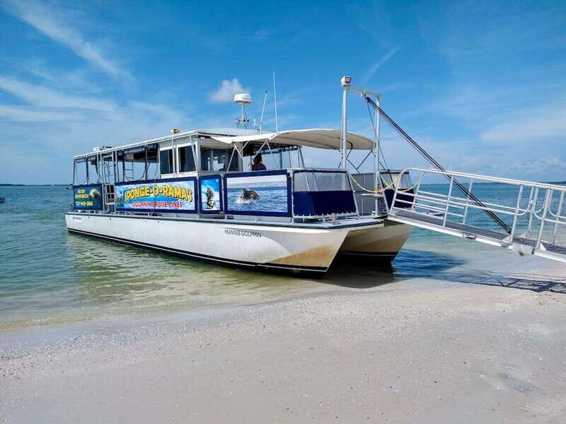 Tarpon Springs: Evening Dolphin Cruise - Frequently Asked Questions